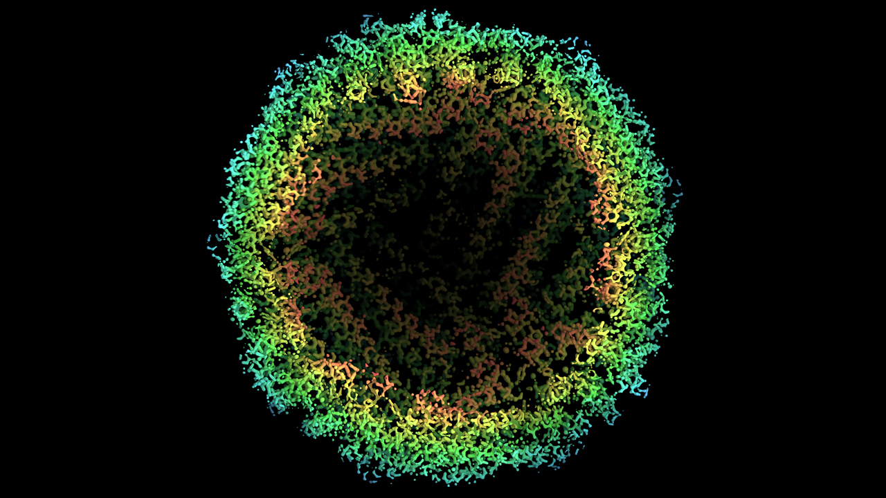 Cryo-EM: Unveiling Molecular Mysteries with Precision