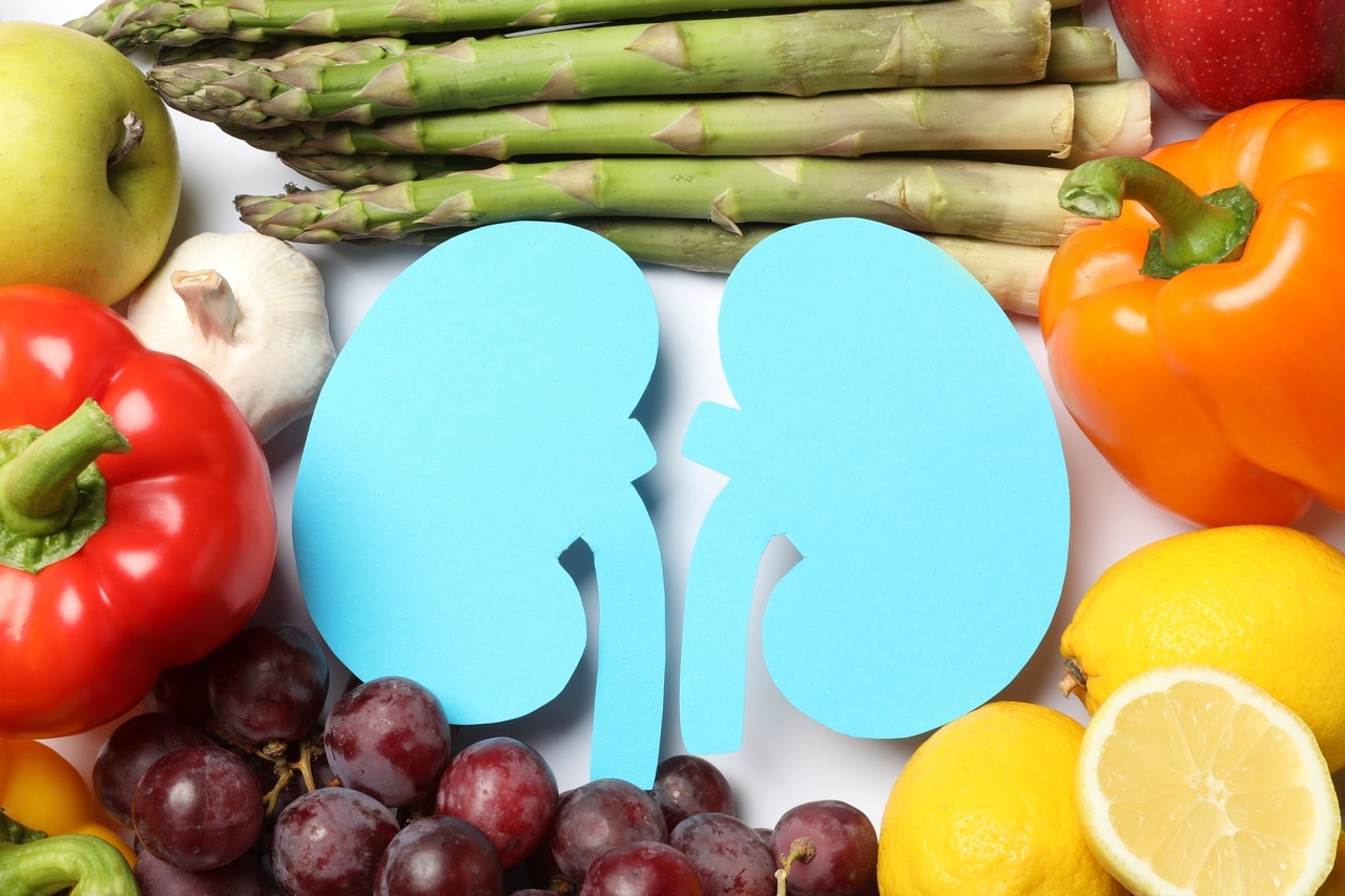Mastering Kidney Health: The Role of Hydration, Diet, and Regular Checks