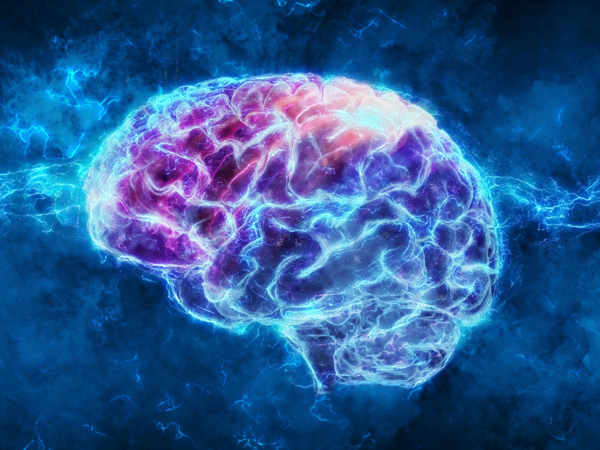 Neural Simulations and the New Era of Brain Modeling