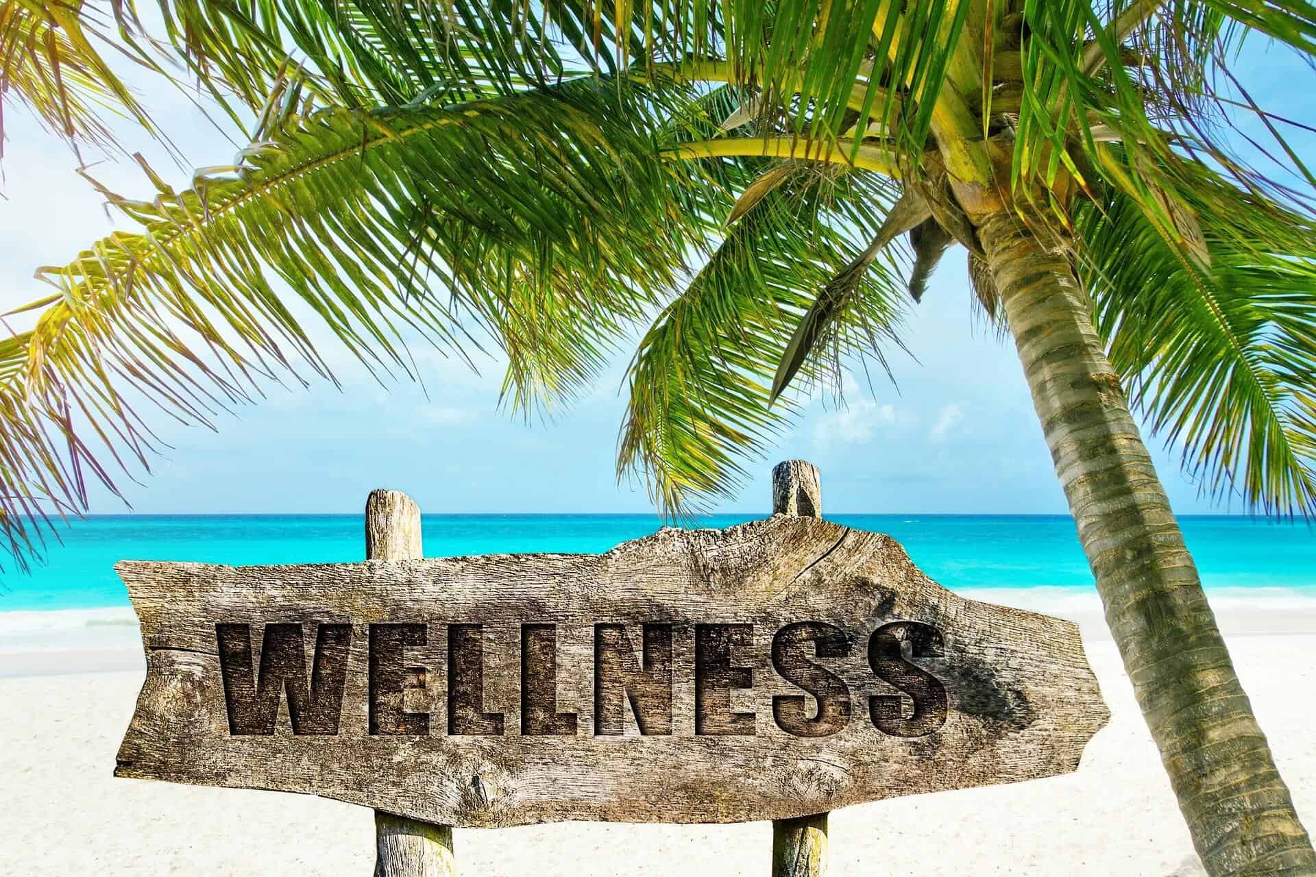 Embark on a Mindful Journey: Wellness Travel and Digital Detox