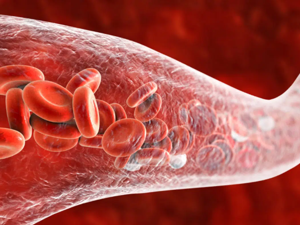 The Symphony of Circulation: Harmony in Motion