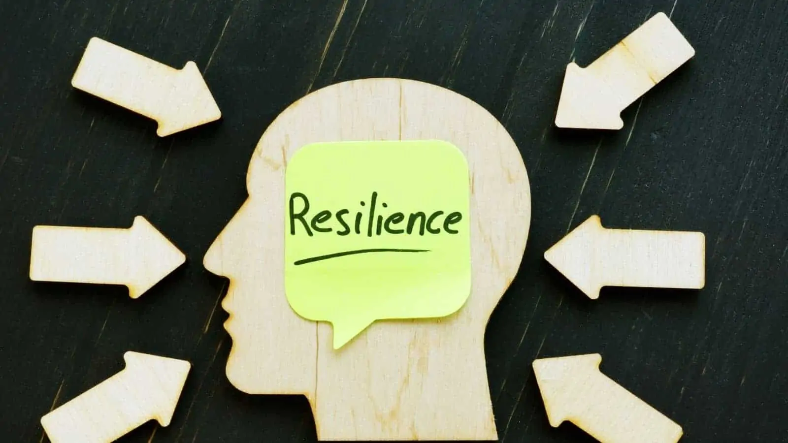 Cultivating Resilience: The Dance of Adaptability and Emotional Recovery