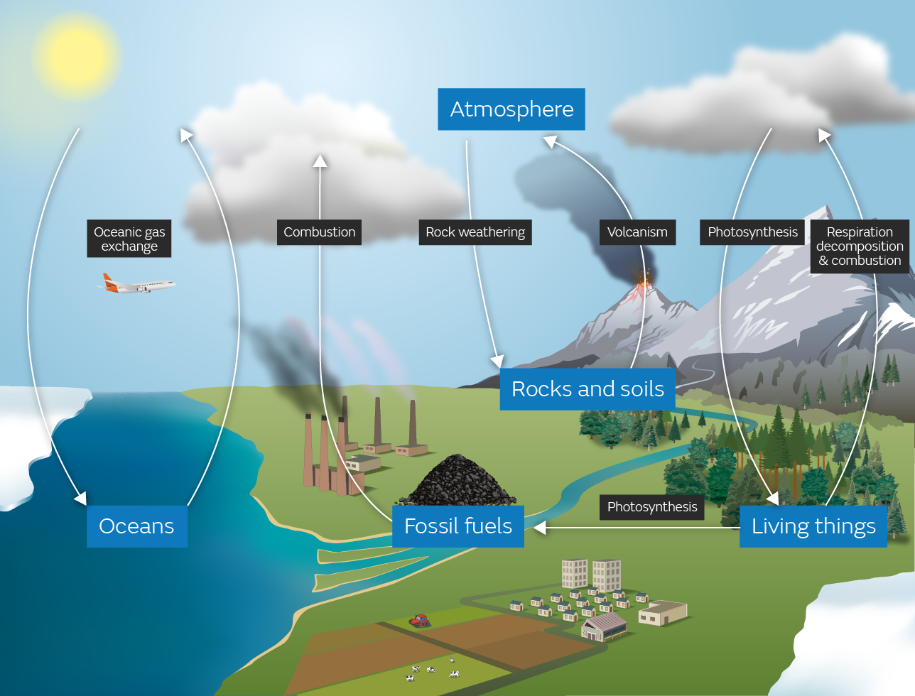 Isotope Tracing and Earth System Science: A Deep Dive into Biogeochemical Processes