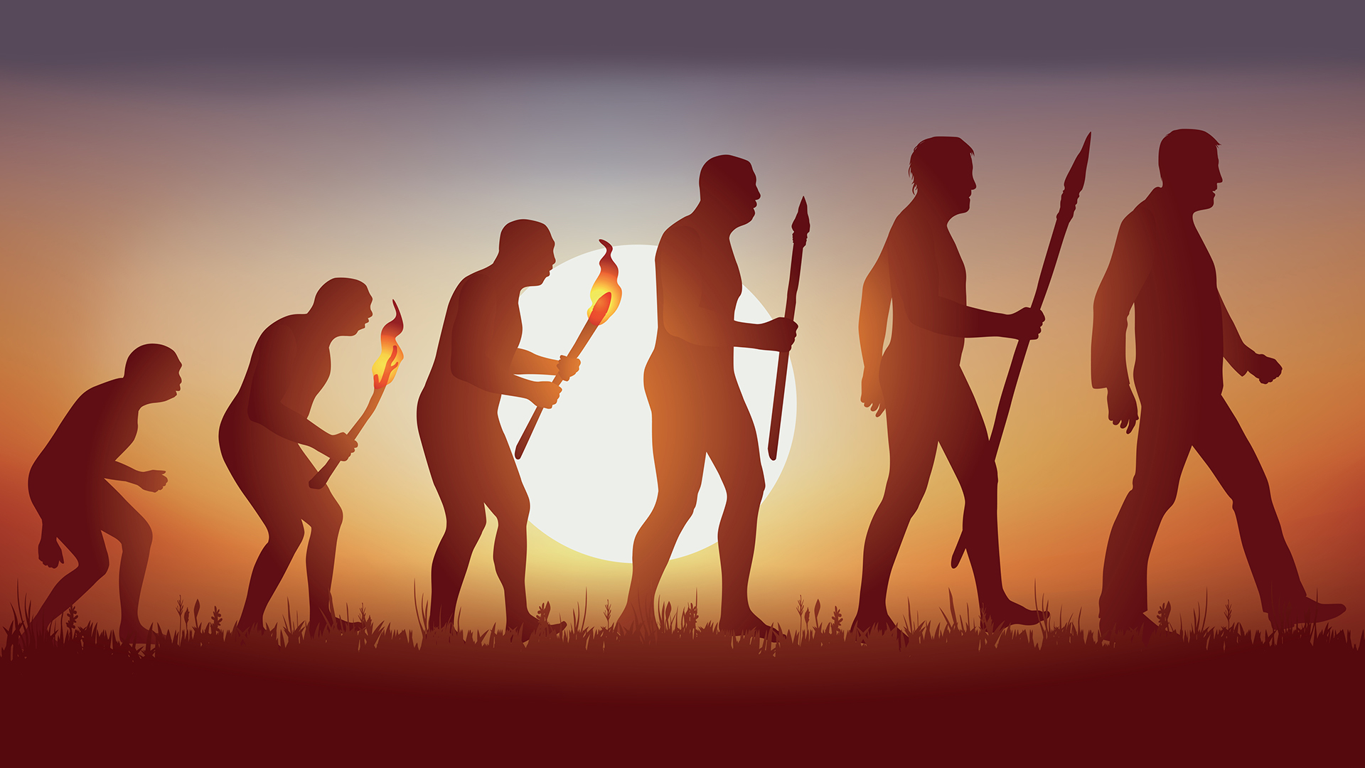 Tracing Our Origins: The Molecular Tapestry of Human Evolution
