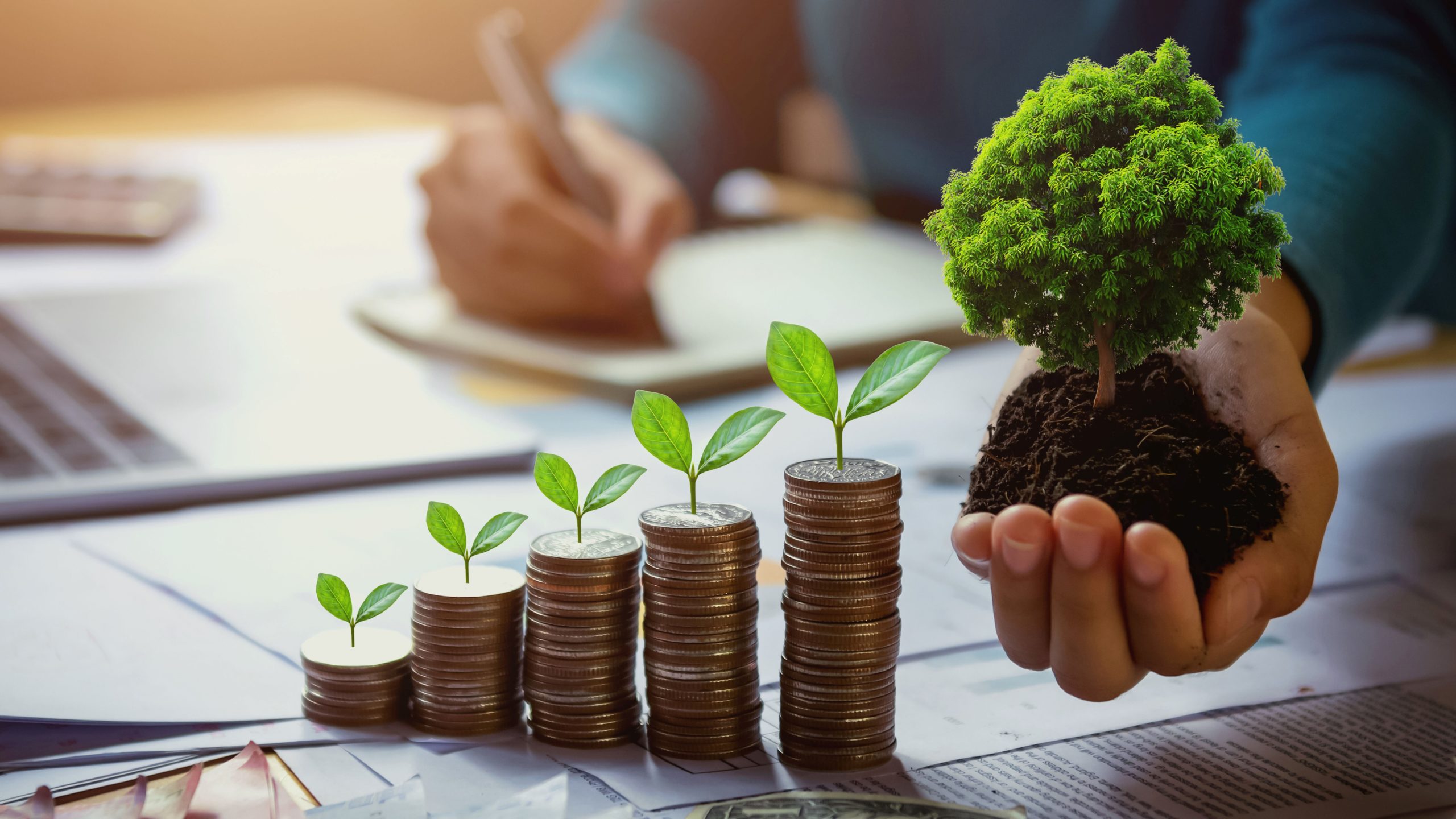 Crafting Resilience: Integrating Cost Reduction and Revenue Growth for a Sustainable Future